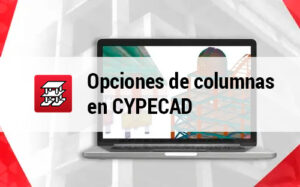 Opciones de columnas en CYPECAD